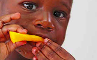 La importancia de la nutrición en la primera infancia