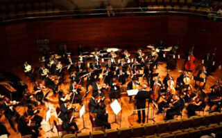 El carnaval de los animales, música del siglo diecinueve para los niños del presente