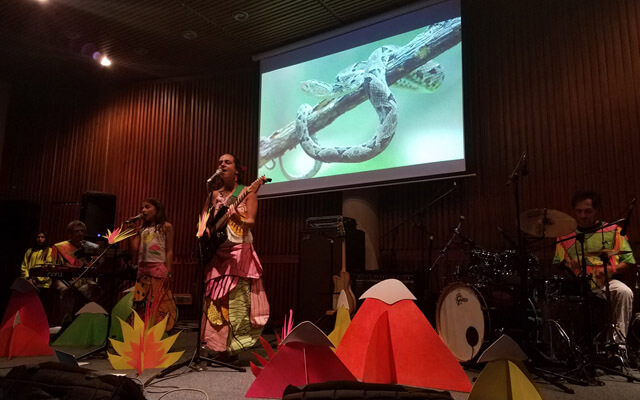 Jacana Jacana, una familia sonora