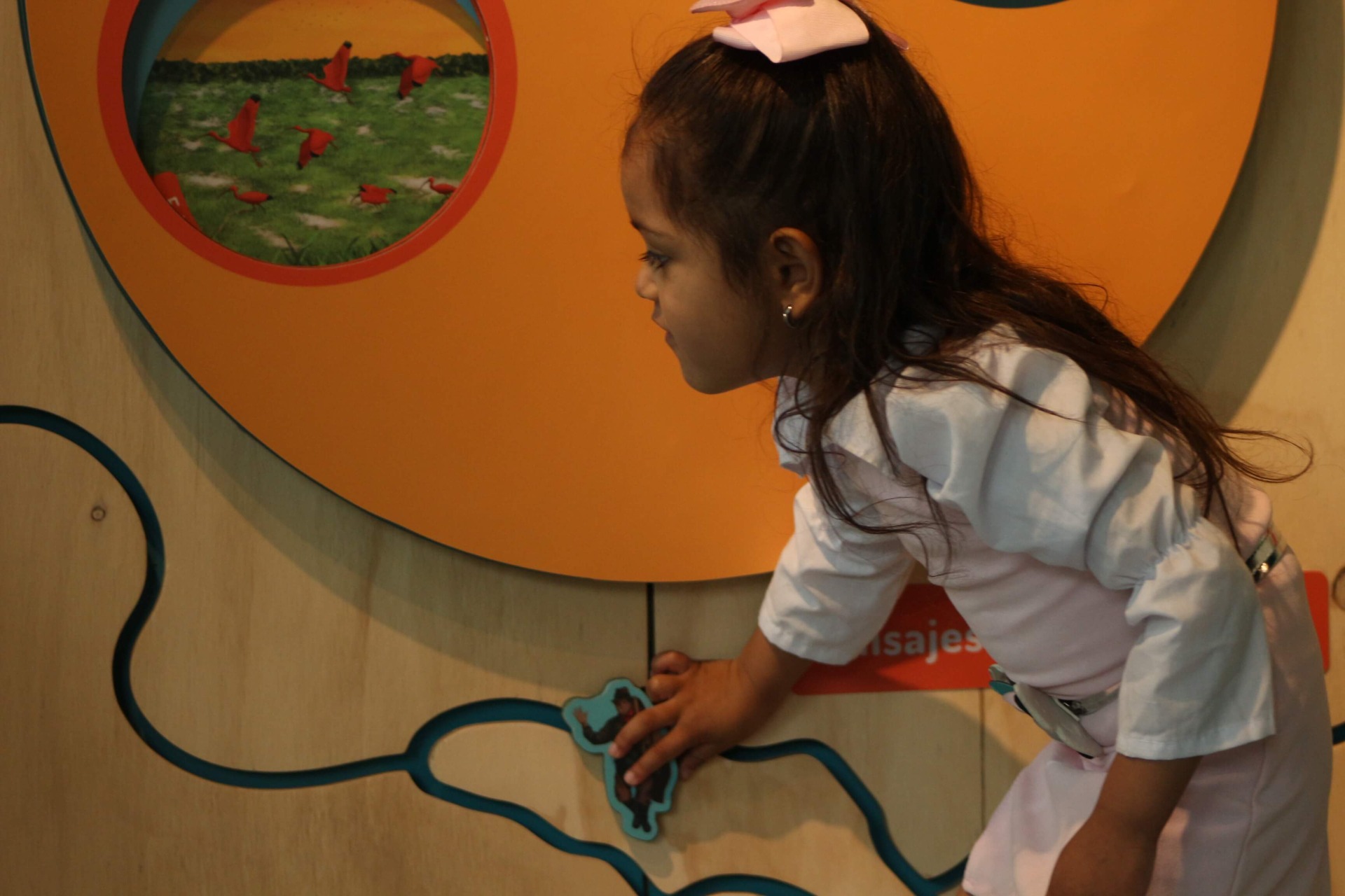 La Casita en el árbol