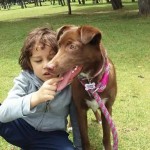 En la familia de Liliam López tienen un hijo biológico, Matías y una adoptiva, Kira. “Una situación muy común es cuando vamos al parque y Matías sube a los juegos infantiles. Kira, al no verlo, comienza a llorar y a dar vueltas hasta que el niño baja y la saluda. Ella se alegra mucho y mueve su colita como si hubiera pasado mucho tiempo sin verlo”.