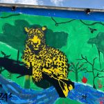 De sueños y colores - MaguaRED